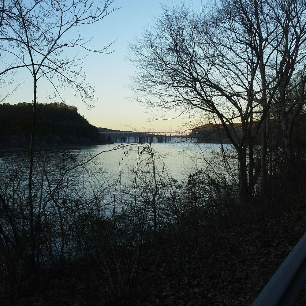 Meet your Posher, Timmy